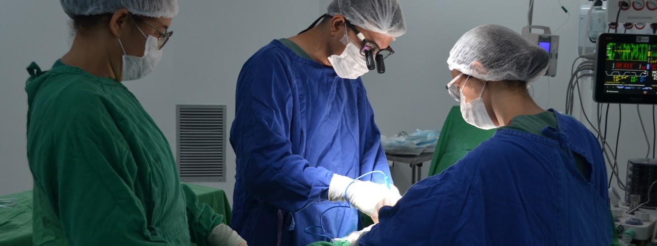 Durante a campanha Setembro Verde, o Hospital Estadual do Centro-Norte Goiano (HCN) realizou mais duas captações de órgãos, totalizando 40 procedimentos desde 2022, evidenciando a importância da doação e a atuação integrada entre instituições de saúde.